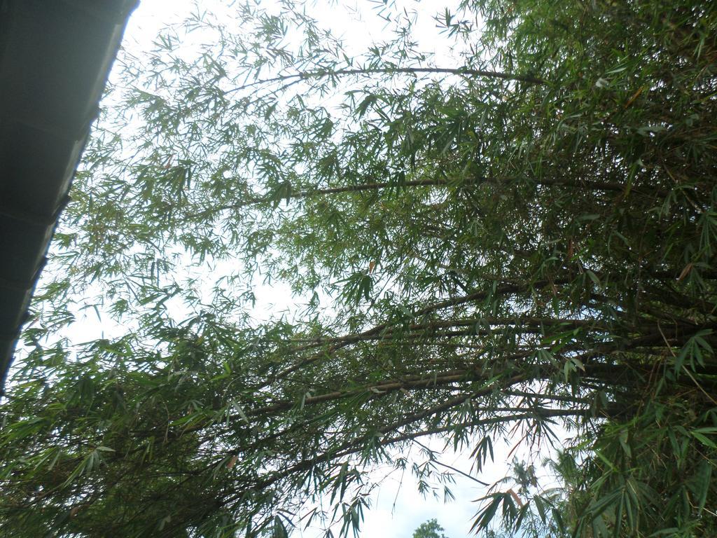 La Villa أونا واتونا المظهر الخارجي الصورة