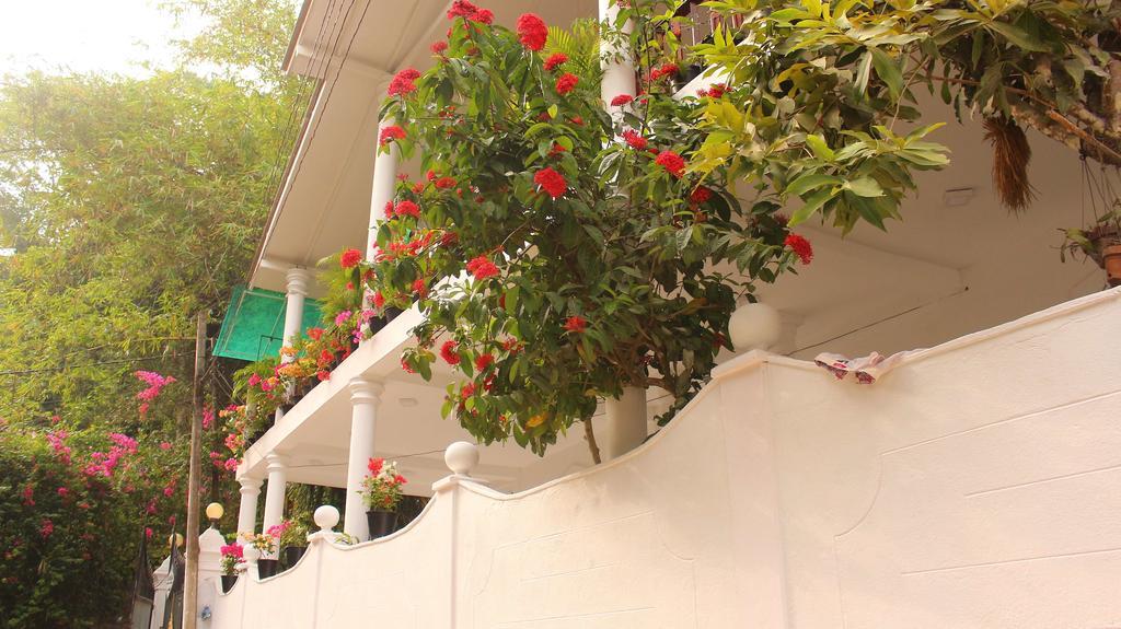 La Villa أونا واتونا المظهر الخارجي الصورة